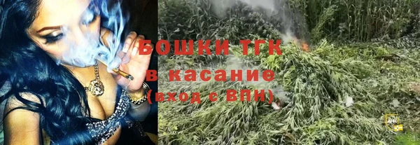 молекула духа Балахна